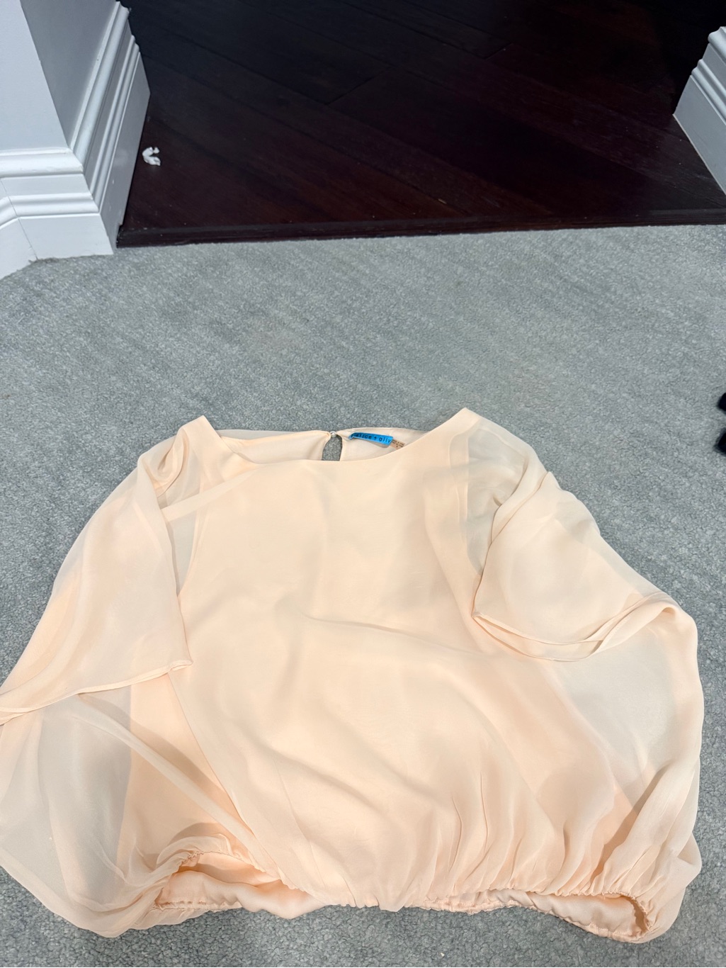 Alice + Olivia Blush Pink Chiffon Top